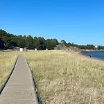 Fiiliksellae *