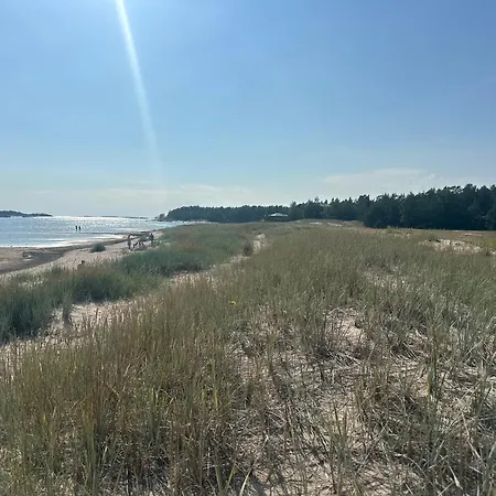 Loma-asunto Fiiliksellae *