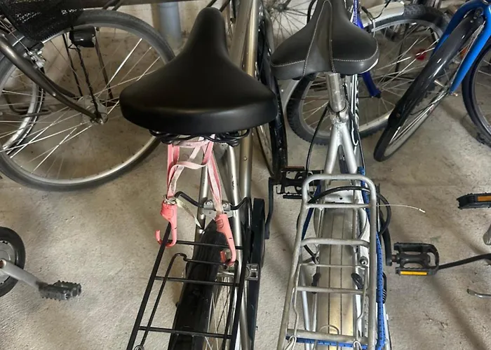 Loma-asunto Fiiliksellae *